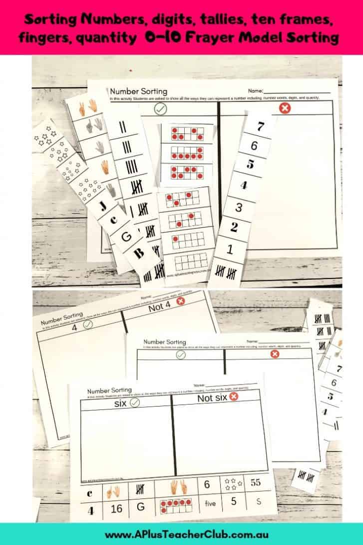 Hands-On Number Recognition Activity Packs | A Plus Teaching Resources